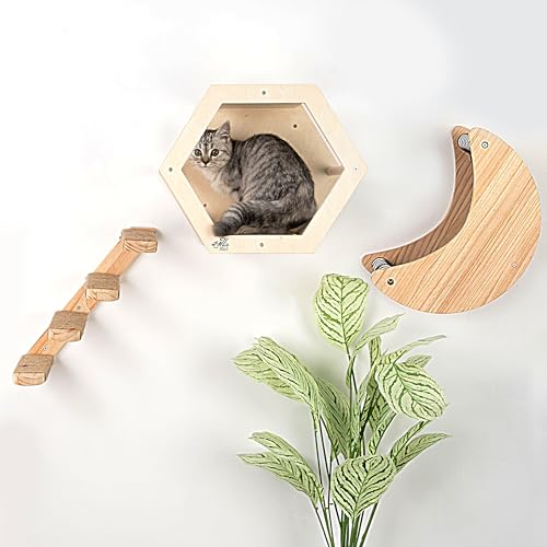 Cat Climbing Wall The 15 best products compared Wild Explained