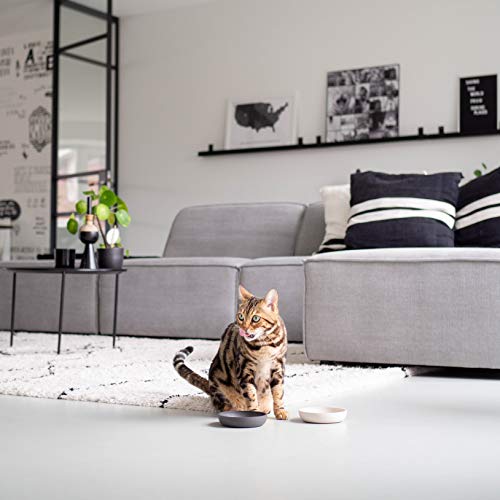 District 70 Bamboo Katzennapf - Dunkelgrau - Einheitsgröße - 12 x 12 x 2,8 cm (180 ml)