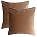 Confezione da 2 Fodere per Cuscini in Velluto Cuscino Decorativi Divano Moderini Super Morbido Velluto Tinta Unita Copricuscini Decorativi Federa Quadrata, per Divano, Interni - 45x45cm-Marrone Scuro