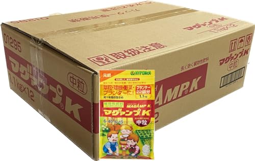 yP[X̔znC|lbNX }O@vK  1.1s×12