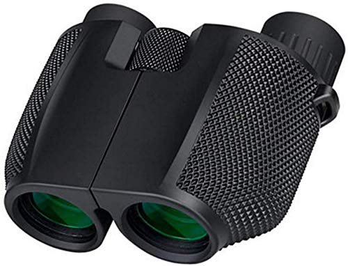 Adult 10x Binocular, FMC Children's Mini Outdoor High-Definition High Power Lens, BAK4 Professional NightTelescope Bird Watching, Viewing, Concert