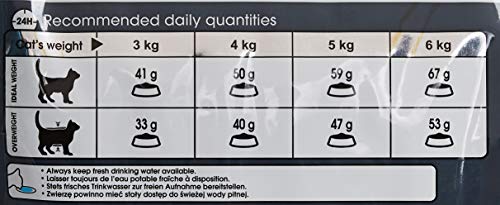 Royal Canin Hair and Skin 33 Katzenfutter, 10 kg- Katzenfutter