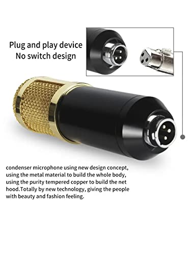 Lietus Xlr Vocal Condenser Microphone Bm-800 Professional Livestream, Computer, Podcasting And Studio Microphone With Shock Proof Mount #TOP7
