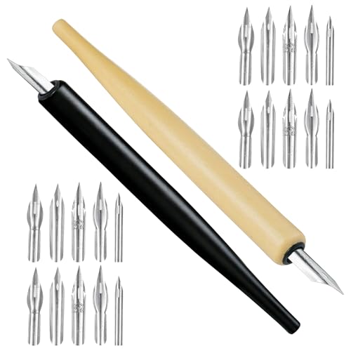 Rbleote 2 Plume Encre De Chine Plume Calligraphie 20 Pointes De Stylo Stylo À Encre Adapté Au Dessin À L'Écriture Et À La Calligraphie