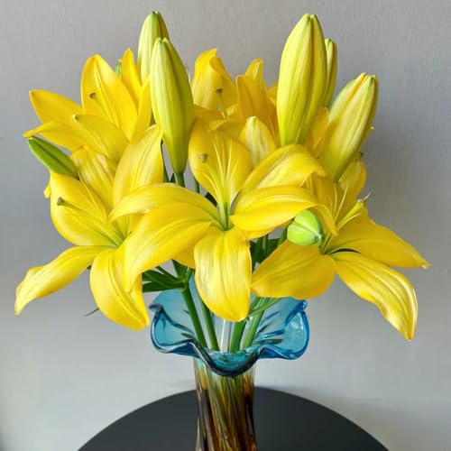 Bulbi di gigli, resistenti per il giardino bulbi di gigli acquistarere bulbi resistenti rustiche 3pcs