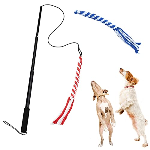 ASOCEA Hund Flirt Pole Spielzeug Ausziehbare Teaser Wand Mit 2 Baumwollseil KöDer Schwanz Tug Krieg Pitbull üBung Interaktive Spielzeug FüR Kleine Mittlere GroßE Hunde Ausbildung Jagen Springen Cover