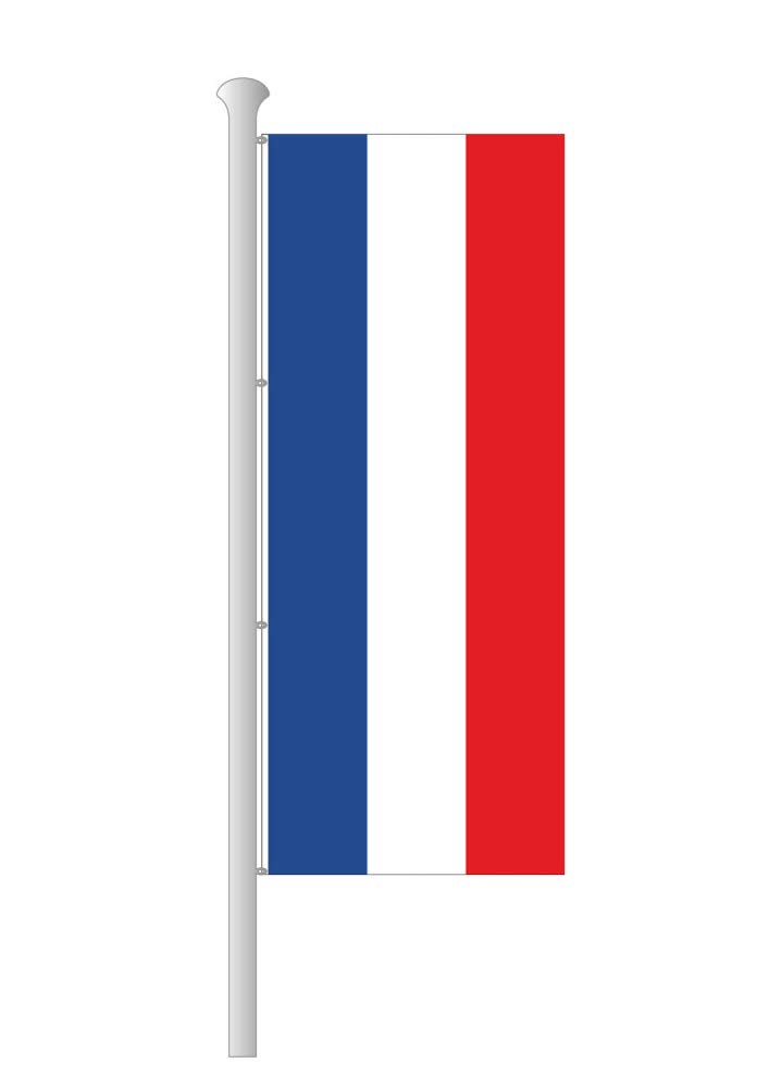 Deitert Bundesland-Flagge Schleswig-Holstein – 150x400 cm Schleswig-Holstein Fahne ohne Wappen im Hochformat, Hissfahne aus reißfestem Polyester