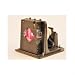 Produktbild MicroLamp Projector Lamp for Optoma 250 Watt, 2000 Hours, ML11605 (250 Watt, 2000 Hours Theme-S H76, Theme-S H78)