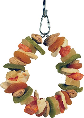 A&E CAGE COMPANY 001445 Happy Beaks Deluxe Fruit Ring Toy Multicolored