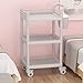 Trolley ZXD Carrello Medico, 3 Livelli, Carrozzina con Ruote, Carrello con Ruote piroettanti, Carrello Spa Beauty, con Cestino