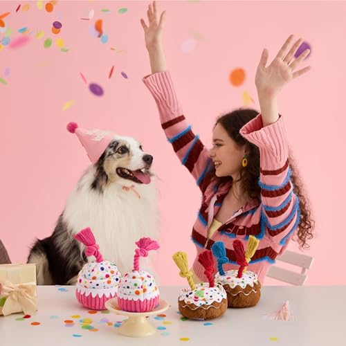 LE SURE Dog Birthday Cake Toy - Cute Squeaky Dog Toy for Gentle Chewers with Interactive Tug Rope, Plush Interactive Toy for Adult Dogs Birthday Party, Standard, Pink - image 2