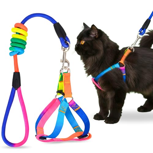 Image of A+a Pets' Harness and Leash Set | Colourful Combo in Rainbow for Cats and Dogs (XS)