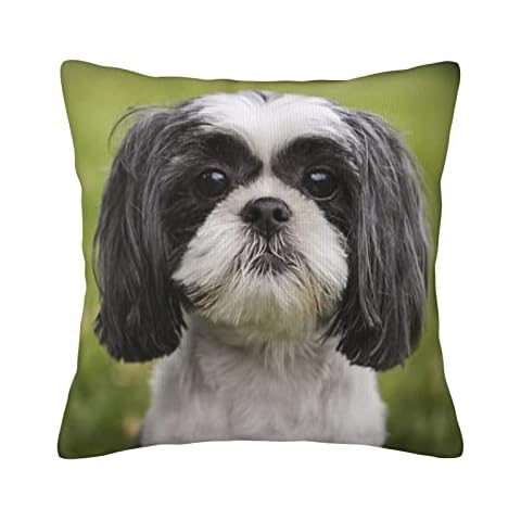 Cute Shih Tzu Double Sided Pillow Covers Pupppy Animal Print Plush Pillowcases Square Cushion Pillow Cases for Sofa Bed Home Decor 45cm x 45cm (18" x 18") Cover