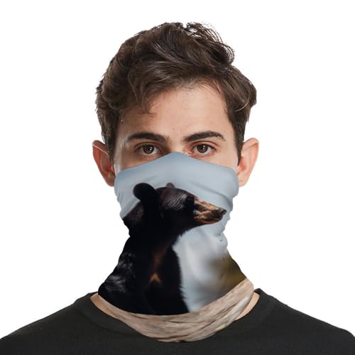 Máscara tipo Pasamontañas Big Brown Bear para clima frío con gaiter para cuello y bufanda a prueba de viento para hombres y mujeres, balaclava elástica para motocicleta, ciclismo, esquí y fiestas miniatura 4