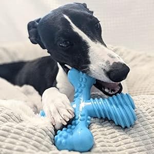 Nylabon Power Chew Comfort Hold X Bone Chew Toy for Dogs, Beef Flavor, Large - Up to 50 lbs. (1 Count) Nylabon Power Chew Comfort Hold X Bone Chew Toy for Dogs, Beef Flavor, Large – Up to 50 lbs. (1 Count)