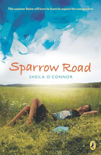 Sparrow Road view 2