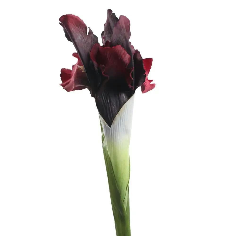 CVJdfhRE fake flowers， 5pcs White Iris Artificial Flower Decorative Fake Flowers Display Silk for Home Wedding Decoration(Red)