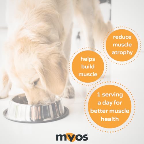 MYOS CANINE MUSCLE FORMULA - All-Natural Muskelaufbau Supplement - Hilft, den Muskelverlust bei Hunden durch normales Altern zu reduzieren und verbessert die Erholung nach Verletzungen oder