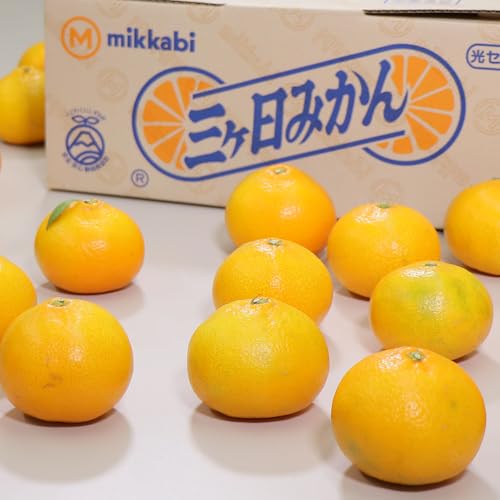 [\12/2ȍ~] OP݂ ÉY 4kg 25-35 M-LTCY 