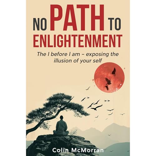 No Path to Enlightenment by Colin McMorran episode artwork