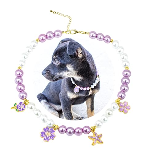 SM4BED  L  p[lbNXAƎ̃r[YƂ킢Ԃ̃qgfy_gA^^ybgp̒߉\ȎqWG[AL 14C`