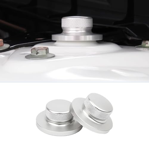 HMKJHYQ Car Accessories Fit for ALTIMA 2024 2023 2022 2021 2020 2019 Automotive Shock Absorber Protective Shield Cover ABS (Silver) 2 PCS