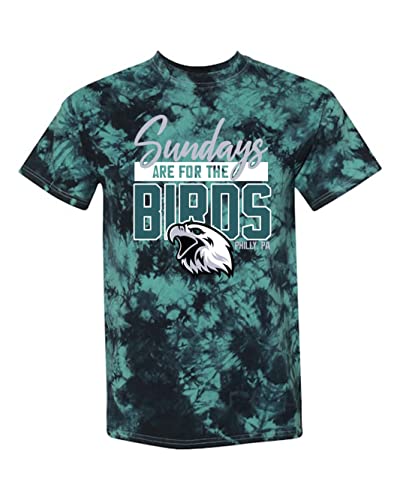 SUNDAYS ARE for The Birds Philly PA Classic Vintage Style Unisex Adult T-Shirt, Dri-Power Moisture Wicking, Made in USA! (as1, Alpha, l, Regular, Regular, Teal, Large)
