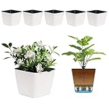 T4U 4 Inch Self Watering Plastic Planter with Liner Pack of 6 - Matte White, Modern Decorative Small...