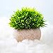 UltraOutlet 2 Pack Small Artificial Plants Centerpiece in Pot Fake Mini Decorative Potted Topiary Shrubs for Office, Home, Inddor, Room Decoration, Green