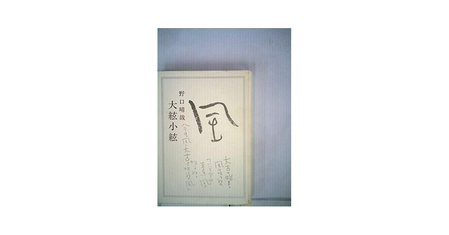 Amazon.co.jp: 大絃小絃 : 野口 晴哉: 本