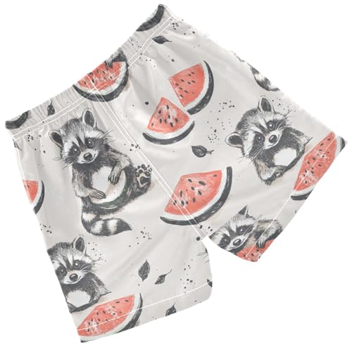 Pigsaly Boys' Swim Board Shorts Watermelon Grey White Raccoon Boy's Swim Trunks Kids Swimwear 2T2