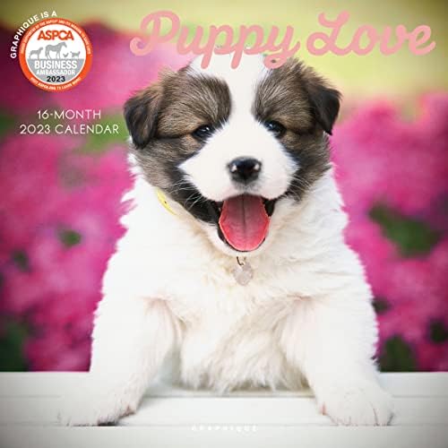 Graphique Puppy Love Wall Calendar - 16-Month 2023 Calendar, 12"x12" w/ 3 Languages, 4-Month Preview, & Marked Holidays…