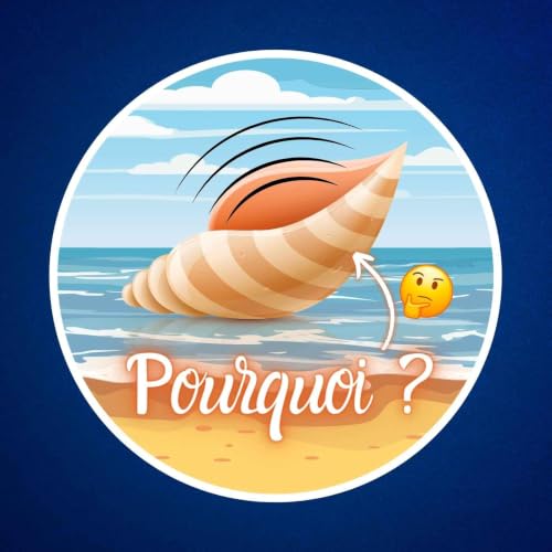 Qu&rsquo;entend-on vraiment dans un coquillage ? 🐚 (Spoiler : pas la mer...)