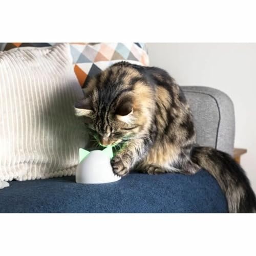 Sure Petcare Hub, kompatibel mit der SureFlap Mikrochip-Haustierklappe Connect/Mikrochip-Katzenklappe Connect, dem SureFeed Mikrochip-Futterautomaten Connect, Felaqua Connect, mit App, weiß