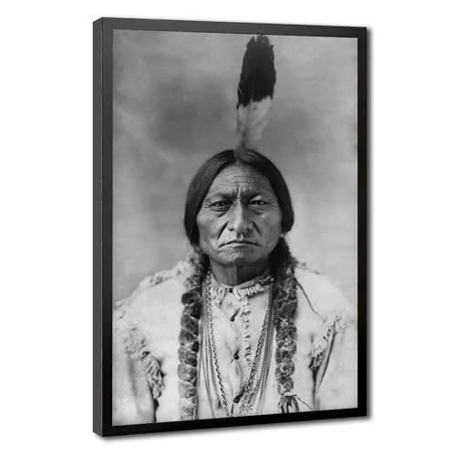 Cadre suspendu Sitting Bull 1883 pour habiller un mur de bureau vide