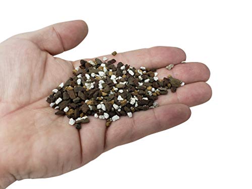 Succulent & Cactus Soil Mix - Premium Pre-Mixed Fast Draining Blend (1.25 Dry Quarts) #TOP6