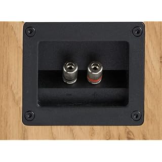 Davis Acoustics Hera 70 Light Oak - Paire d'enceintes étagère 2 Voies/2 Haut-parleurs – Image 5