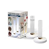 Decorative Vase with LED Light - Auto Color Change LED Light Function - USB-C Rechargeable Battery Power, Suitable for Indoor Decoration, Wedding, Party (2 Pack)