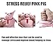 DFADKYWU Schweine Quetschspielzeug, Unbreakable Pig, Anti Stress Schwein, Kreatives Dekompressions Piggy, Pig Fidget Toy, Stress Spielzeug, Anti Stress Spielzeug für Erwachsene und Kinder