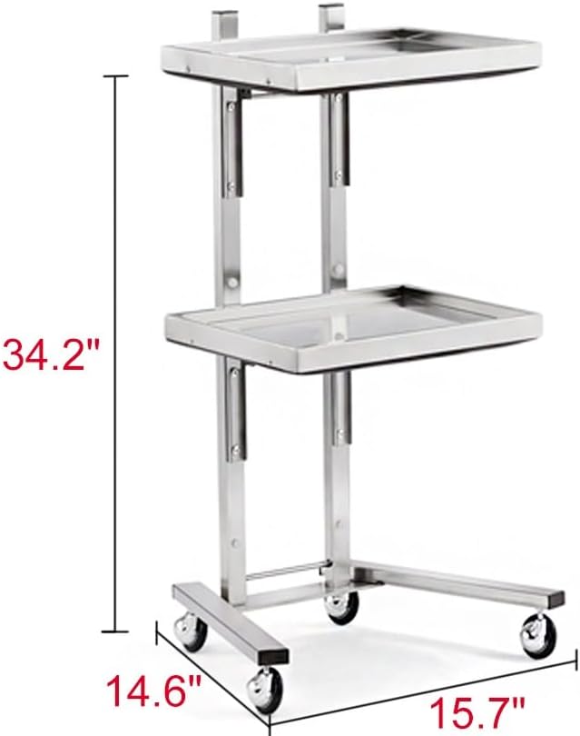 Rolling cart Two Layers Lab Serving Cart,Stainless Steel Utility Rolling Carts Clinic Trolley with Silent