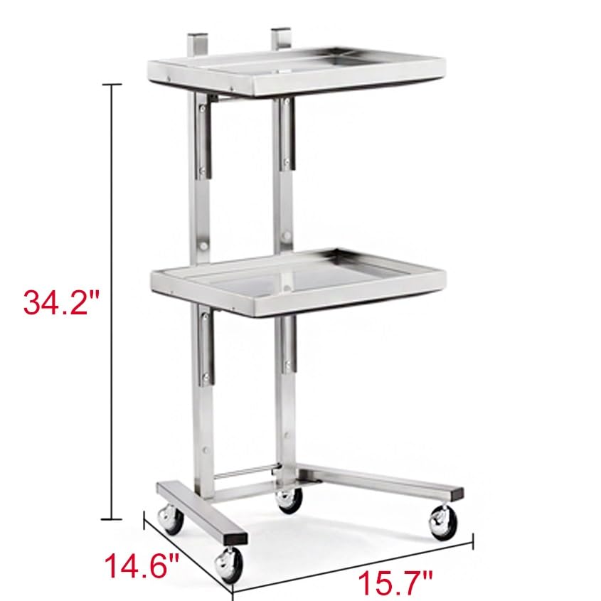 DELURA Aufbewahrungswagen, zweilagiger Labor-Servierwagen, Edelstahl-Rollwagen, medizinischer Klinikwagen mit Geräuschlosigkeit