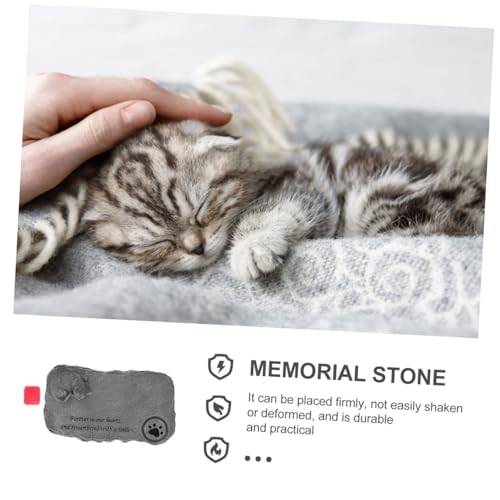 Forma de Gatito en Esta Piedra Conmemorativa Ideal para el Rincón del Jardín 3