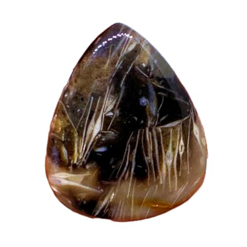 Cabochon poire fossile naturelle 27x22mm plat pour sertissage facile sans casse