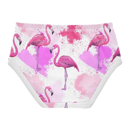 Cotton Girls Underwear Toddler Vibrant Pink Flamingos Panties for Girl Colorful Underpants Briefs 2t2