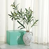 [Choix de cadeau parfait] : cet ensemble de vases rustiques en céramique est parfait pour une pendaison de crémaillère, comme cadeau de remerciement ou pour vous-même. Le design permet d'exposer diverses plantes artificielles ou fleurs séchées, ou d'utiliser le vase comme une pièce autonome. C'est un ajout intemporel à tout espace bohème, ferme ou vintage.