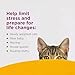 COMFORT ZONE 6 Pack Cat Calming Diffuser Refills; 30-day Refills; Pheromones Help Cat Anxiety