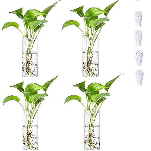 Wall Hanging Glass Terrariums Planter Indoor Plants Holders Wall Glass Vase, Hanging Glass Vases For Air Plants Wall Decoration, Set Of 4 (Square Vase) #TOP6