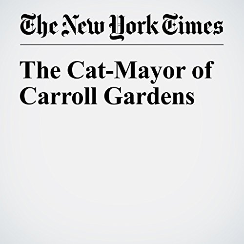 The Cat-Mayor of Carroll Gardens cover art