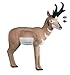 Rinehart Targets 209 Pronghorn Antelope Self Healing Archery Hunting Target