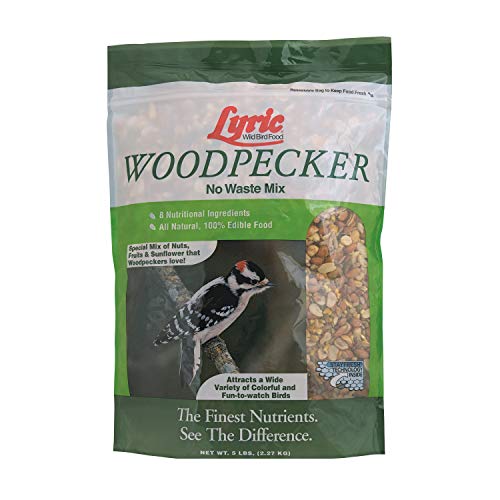 Lyric Woodpecker Wild Bird Seed, No Waste Bird Seed with Nuts, Dried Fruit & Shelled Seeds – 5 lb. Bag